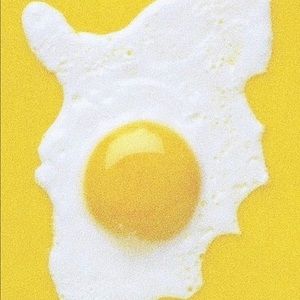 Meet your Posher, Shanet